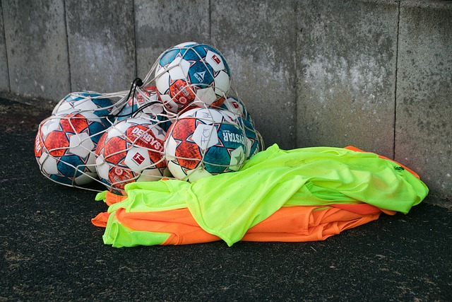 仅以个人才 仅以个人才