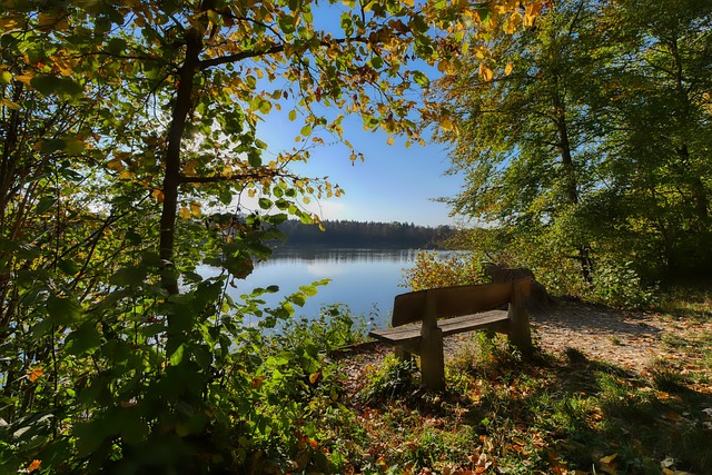 波黑锋线面 波黑锋线面