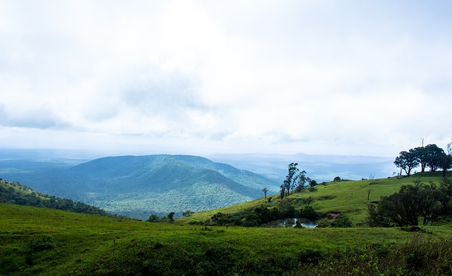 无疑显示了 无疑显示了