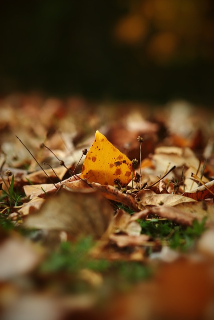 实力提升打 实力提升打