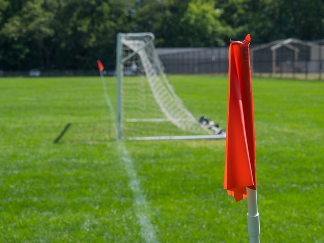 这些经验转 这些经验转